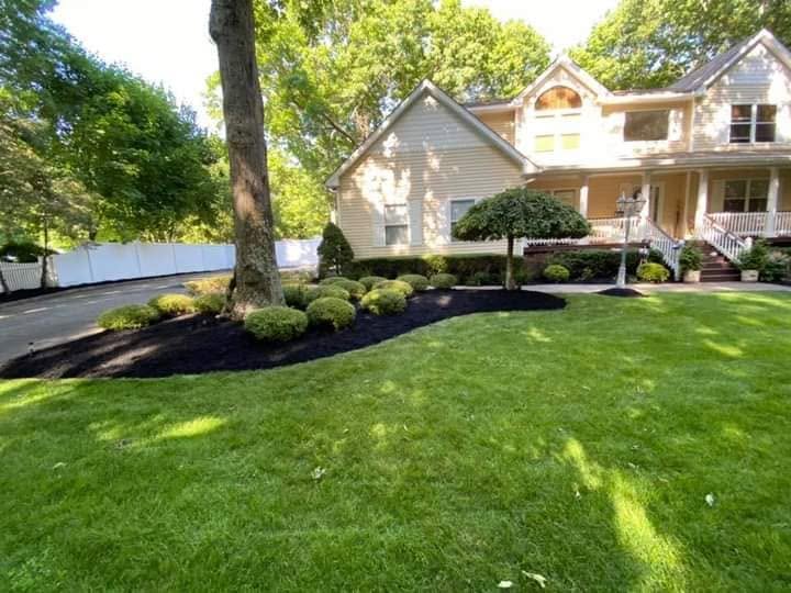 Lawn and beds